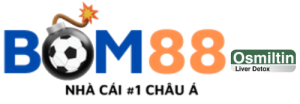 logo bom88