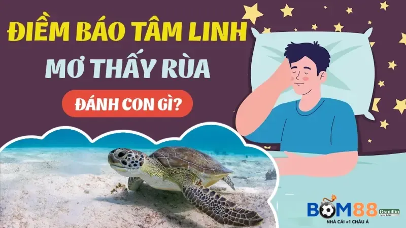 Mơ thấy rùa đánh con gì?