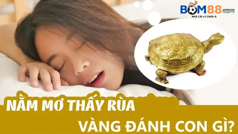 Mơ thấy rùa vàng đánh con gì?